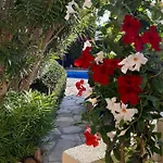 Semesterbostad Eva Gardens Corner House With Pool And Garden Near Coral Bay Pégeia