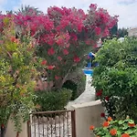 Eva Gardens Corner House With Pool And Garden Near Coral Bay * Πέγεια