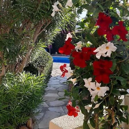 Nyaraló Eva Gardens Corner House With Stunning Garden And Huge Swimming Pool Next To Coral Bay Péjia