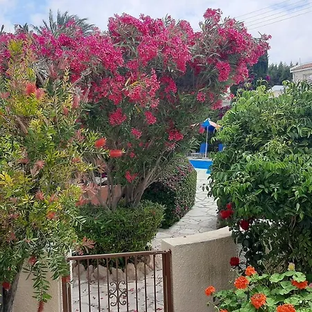 Eva Gardens Corner House With Stunning Garden And Huge Swimming Pool Next To Coral Bay * Peyia
