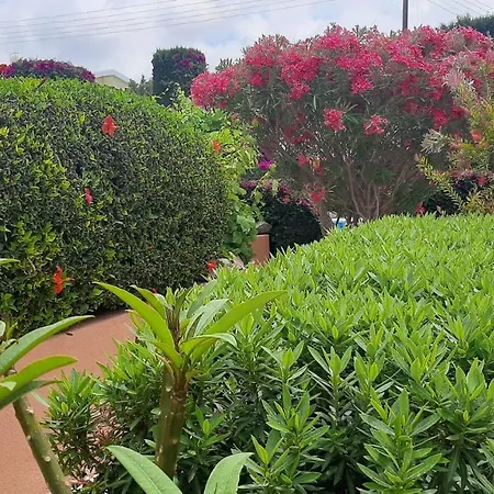 Eva Gardens Corner House With Stunning Garden And Huge Swimming Pool Next To Coral Bay Ferienhaus *