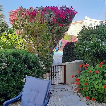 Eva Gardens Corner House With Stunning Garden And Huge Swimming Pool Next To Coral Bay * Peyia