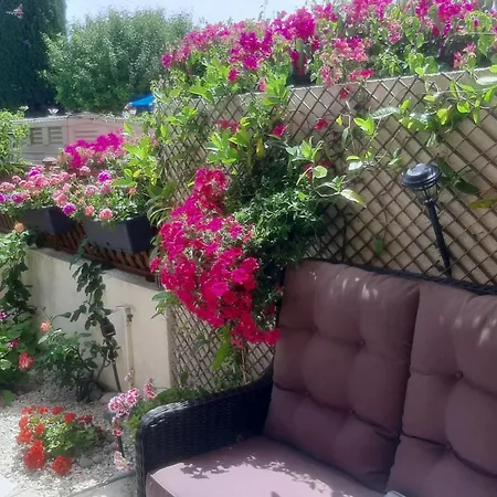 Eva Gardens Corner House With Stunning Garden And Huge Swimming Pool Next To Coral Bay Holiday home