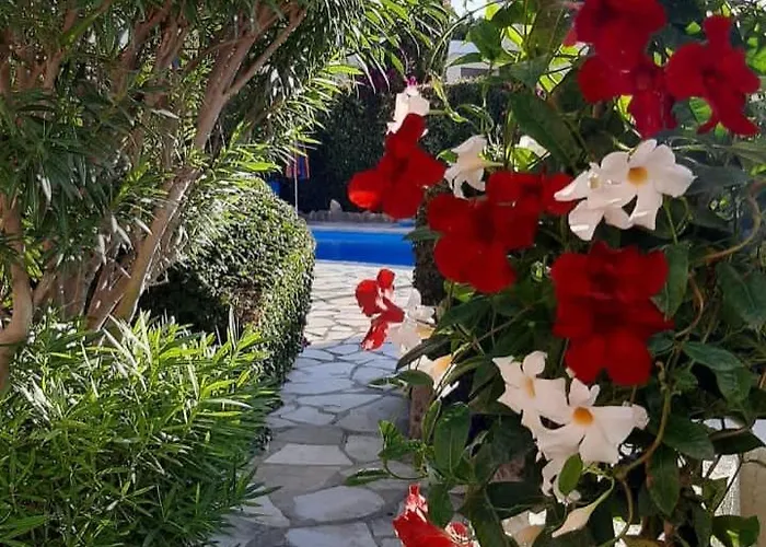 別荘 Eva Gardens Corner House With Stunning Garden And Huge Swimming Pool Next To Coral Bay ペイヤ