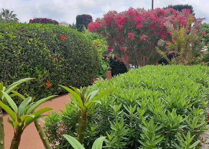 Eva Gardens Corner House With Stunning Garden And Huge Swimming Pool Next To Coral Bay 別荘 *