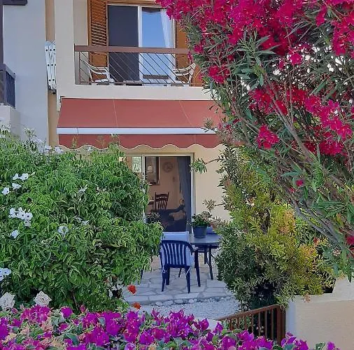 Eva Gardens Corner House With Stunning Garden And Huge Swimming Pool Next To Coral Bay * ペイヤ