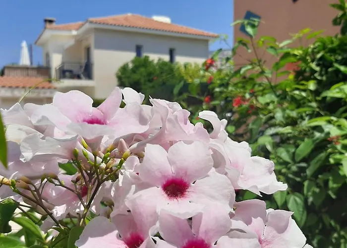 بيت للعطل Eva Gardens Corner House With Stunning Garden And Huge Swimming Pool Next To Coral Bay *