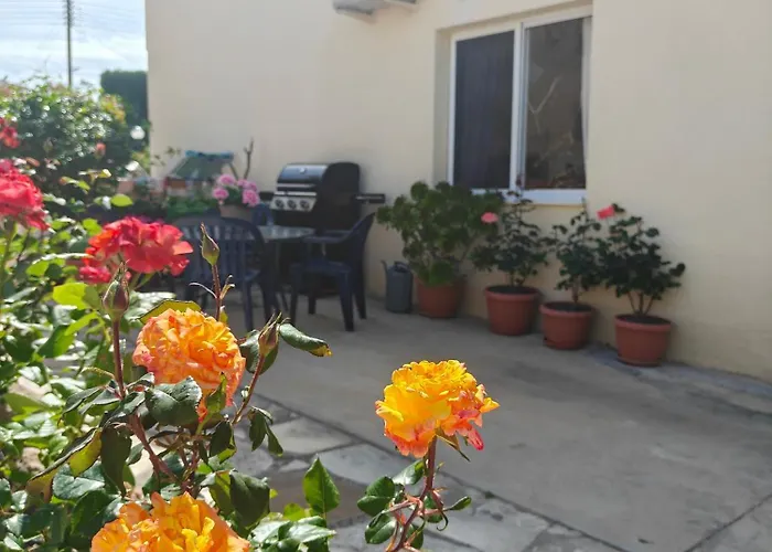 Eva Gardens Corner House With Stunning Garden And Huge Swimming Pool Next To Coral Bay * ペイヤ